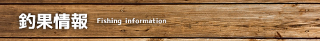 釣果情報