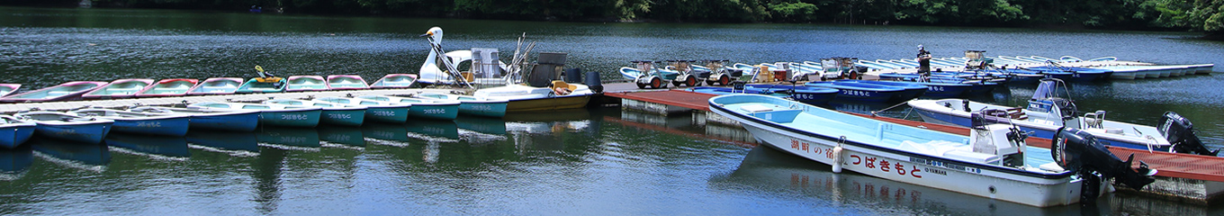 観光・紅葉クルーズ