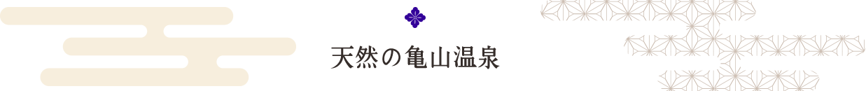 天然の亀山温泉