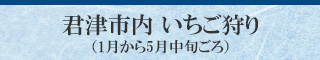 君津市内 いちご狩り