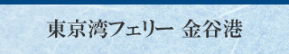 東京湾フェリー 金谷港