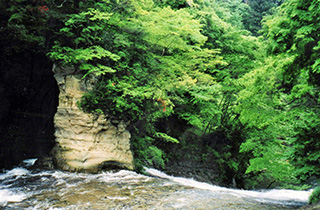 養老渓谷