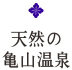 天然の亀山温泉
